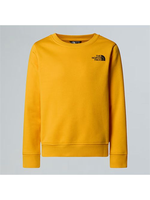 Felpa NSE Box da ragazzi THE NORTH FACE | NF0A89H7/56P1